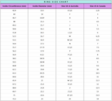 Clear Memorial Keepsake Ring with Lock of Hair