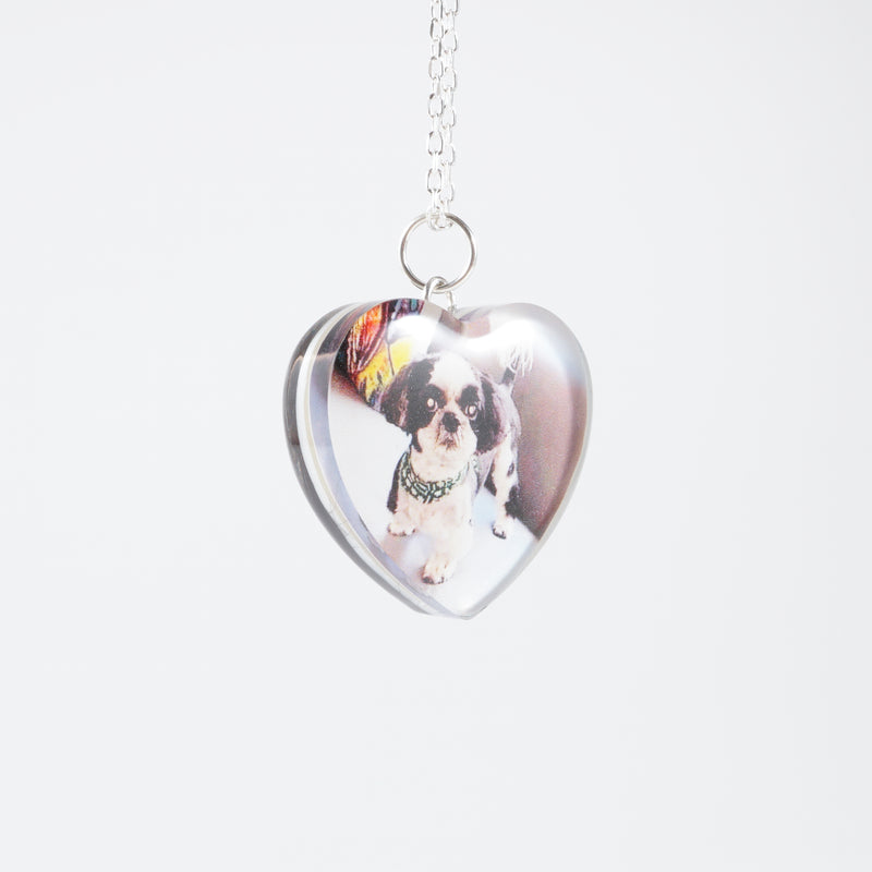 Double Sided Hair And Photo Pendant
