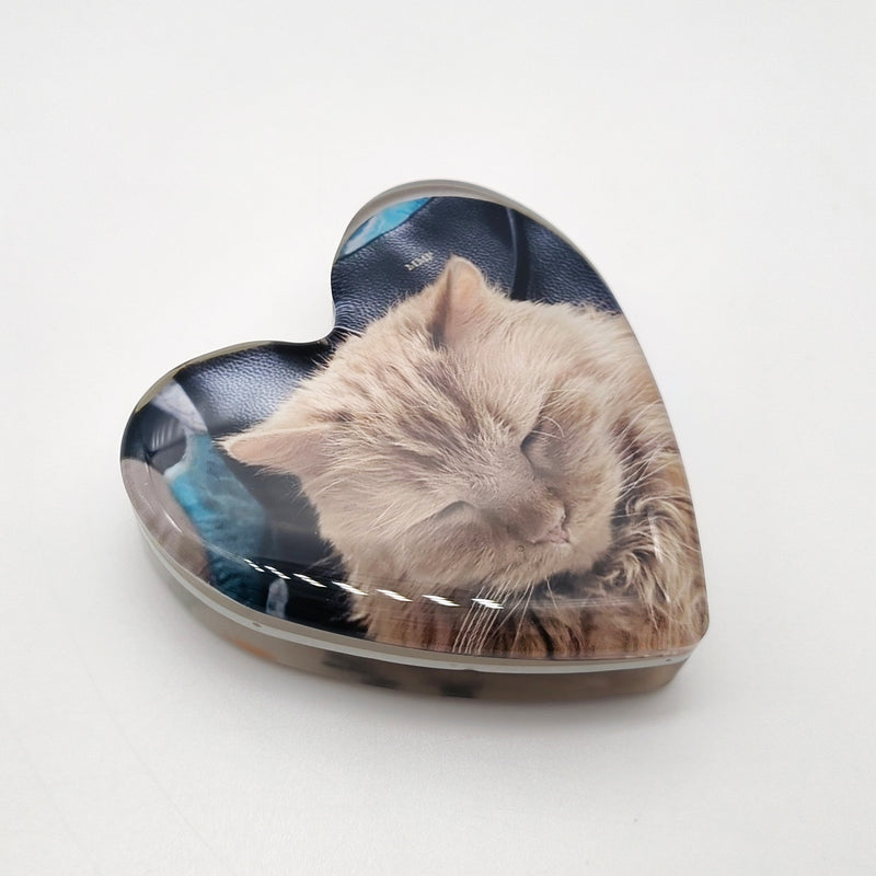 Resin Heart Paperweight with Hair, Actual Paw Print & Photo